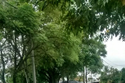 Vecinos de barrios de Yerba Buena denuncian usurpación de un espacio público