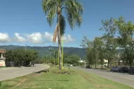 Cómo tenés que actuar si encontrás una serpiente venenosa en tu casa