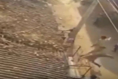 Video: un hombre tuvo que saltar desde un techo para evitar ser atacado por un leopardo