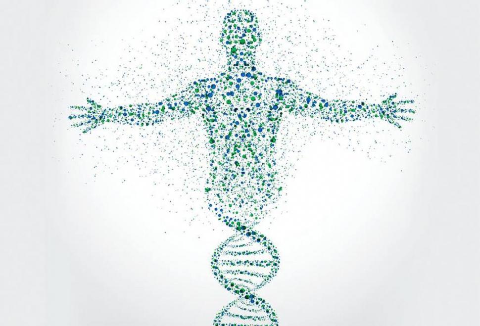 SIN ANTINOMIAS. Haber descifrado el genoma permitió explicar mucho de lo que se sabe sobre la humanidad.  