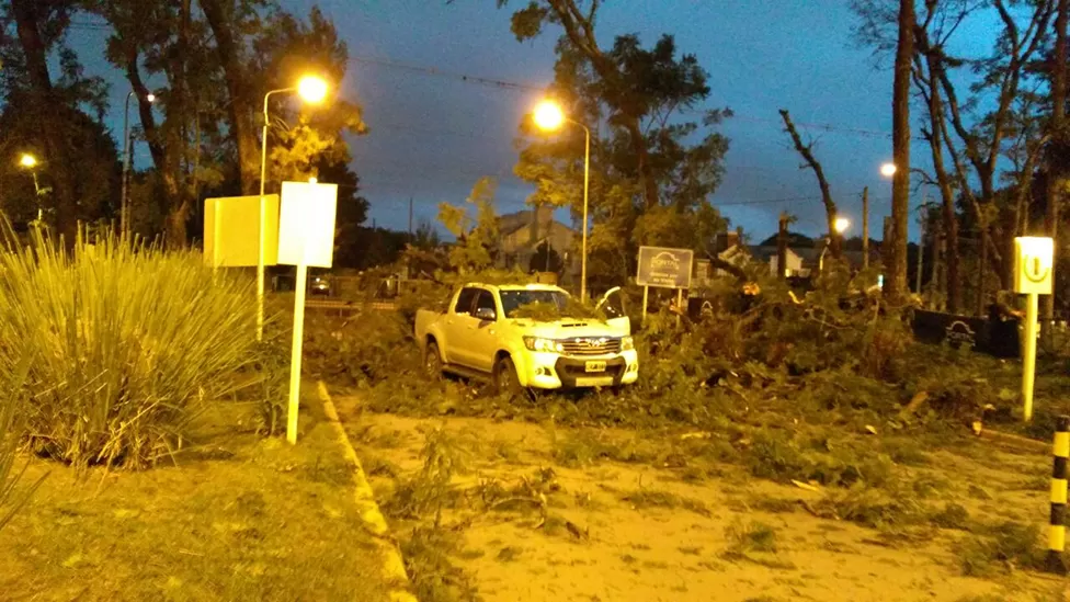 Yerba Buena: por el viento, ramas de dos árboles cayeron sobre una camioneta y una moto