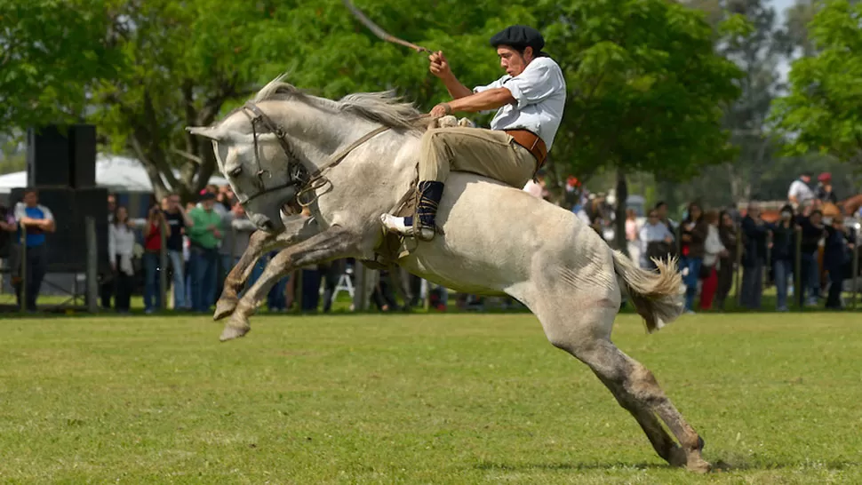 JINETEADA. Un gaucho participa de una competencia. FOTO TOMADA DE TARINGA
