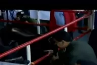 Video: Nicolás Maduro ahora habla con vacas y les pide que lo apoyen