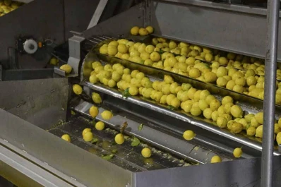 La Nación confirmó la reapertura del mercado brasileño para el limón tucumano