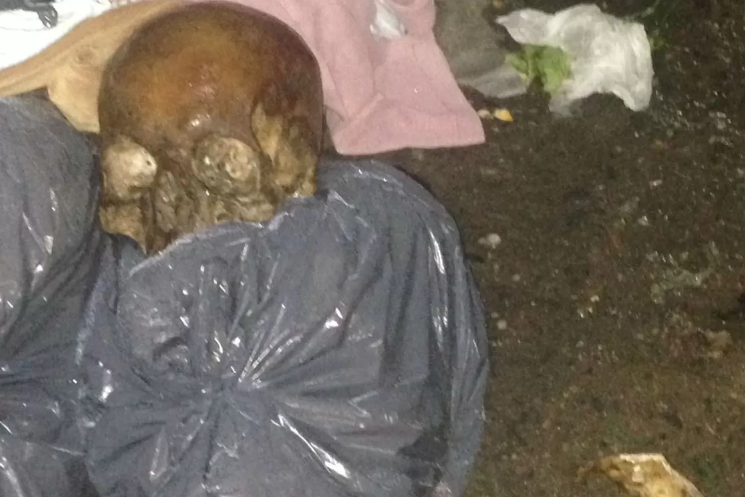 EN BOLSAS. El cráneo fue encontrado en Barrio Sur.