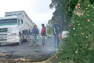 Este es el mapa con los cortes que realizan los cosecheros del limón