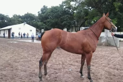 Chica Sueca llega con mucho cartel