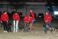 Caso Daiana: adquirió mucha importancia la tarea de los perros rastreadores