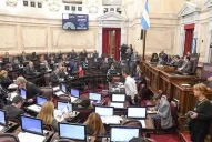 Organizaciones de mujeres celebran que, por ley, los femicidas no tendrán derechos sobre sus hijos