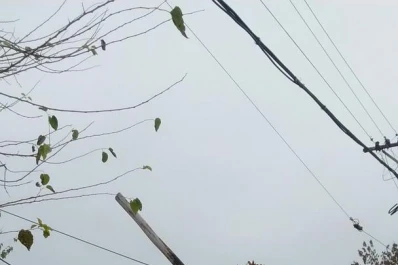 Por esquivar un pozo, un camión arrastró los postes de tendido de red telefónica