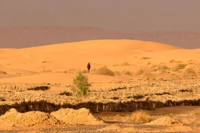 Más de 40 personas murieron de sed al intentar cruzar el desierto de Sáhara