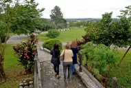 Vida natural VS vida urbana