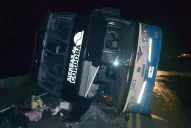 Multaron a una empresa de turismo que protagonizó un accidente en el Pinar de los Ciervos