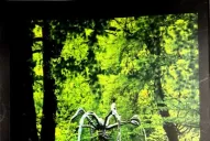 Presentan hoy un libro de relatos de Mercedes Chenaut