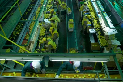 Un estudio universitario asegura que los tucumanos están entre los más felices en el trabajo