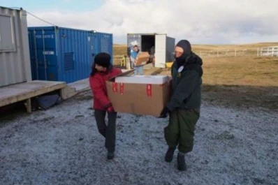 Malvinas: difunden imágenes de la exhumación de los argentinos enterrados en Darwin