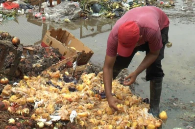 Video: se desperdician casi 5.000 toneladas de alimentos por día