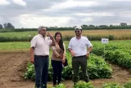 Las legumbres secas toman impulso en Tucumán