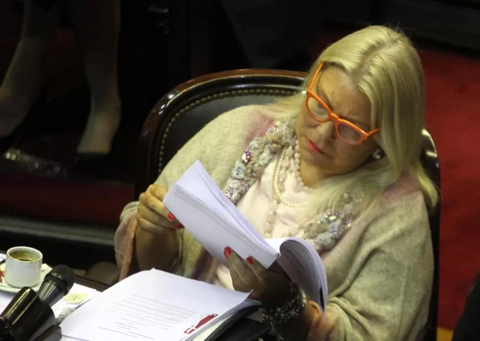 DESAFÍO. Elisa Carrió dijo que hará campaña en la provincia de Buenos Aires DyN (archivo)