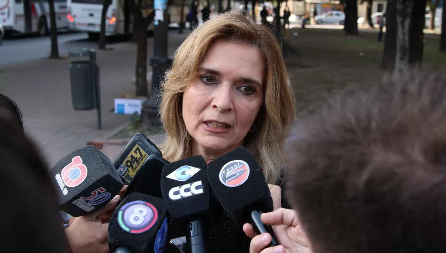 Silvia Elías, senadora. FOTO PRENSA.