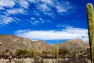 Sin gastar mucho, ¿qué podés hacer con tus hijos durante las vacaciones?