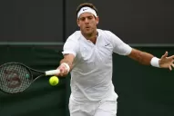 A Del Potro le costó pero comenzó con el pie derecho en Wimbledon