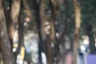 Vacaciones al aire libre o bajo techo