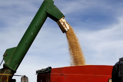 El campo liquidó U$S 11.980 millones por exportaciones de granos en lo que va del año