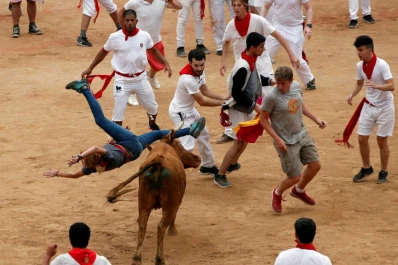 Los chicos corren y juegan y los grandes vuelan por los aires