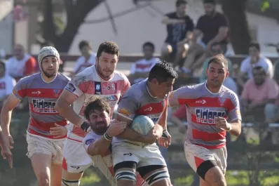 Como Lince panza arriba