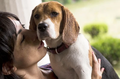 Crean un sitio en el que se puede conseguir niñeras para las mascotas