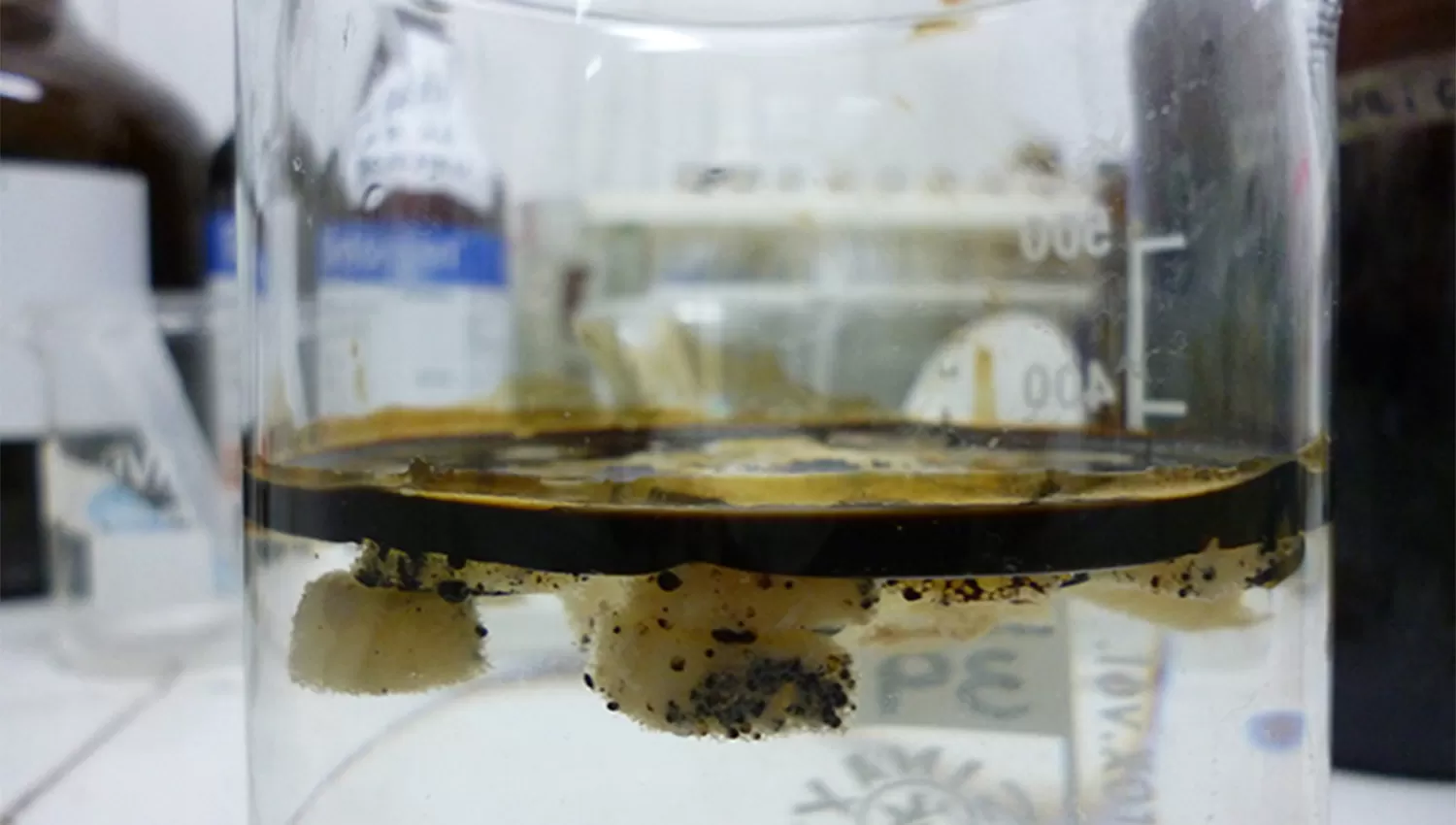 Aplicación de bacterias inmovilizadas que degradan petróleo en agua. FOTO TOMADA DE AGENCIA CYTA.