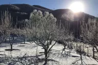 Sol y mucho frío: mirá cómo amaneció Tafí del Valle