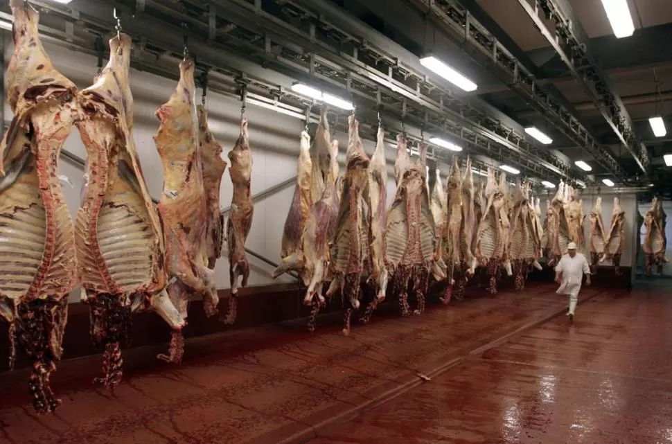 CUPO BAJO. La carne argentina aún tiene poca participación en el mercado mundial, liderado por Australia. archivo