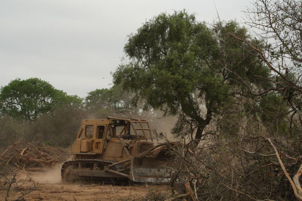 Ligan la tala y la desidia estatal con las últimas inundaciones
