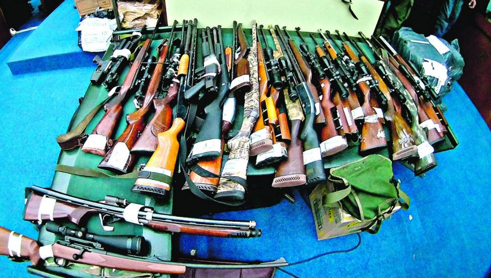 Expusieron casi 70 armas del “Mono” Ale