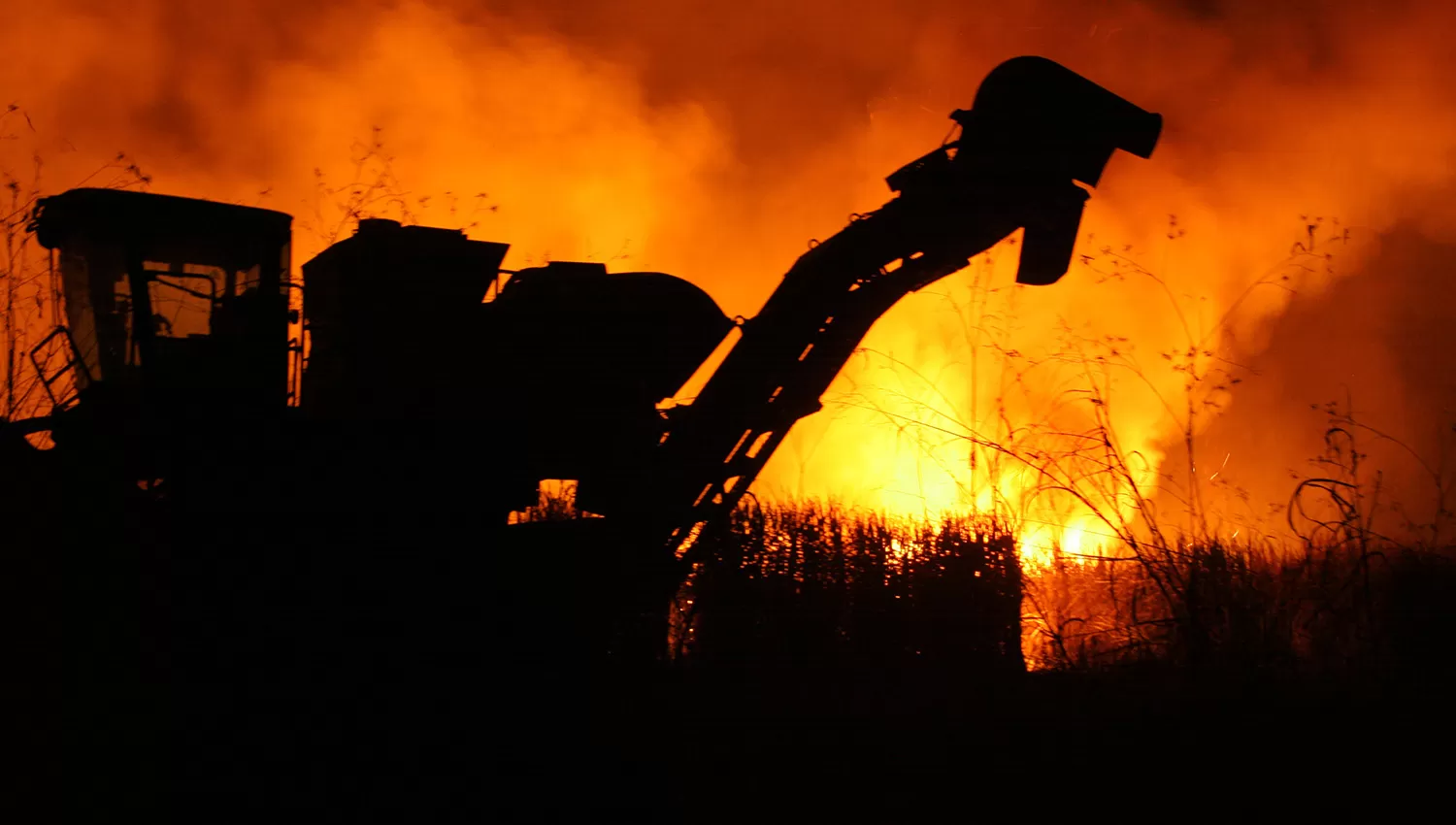 IMPACTANTE. Las llamas consumen un cañaveral; adelante, la silueta de una cosechadora. FOTO DE HÉCTOR GALLO