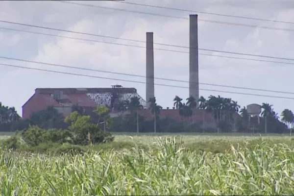 Buscan nuevas fuentes de energías alternativas