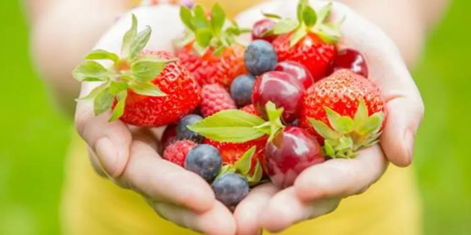 ALTERNATIVAS. La ingesta de distintos tipos de frutas a lo largo del día es una de las recomendaciones de los nutricionistas a quienes dejan la carne. 
