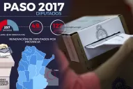 Interactivo: ¿qué se elige en las PASO 2017 y quiénes deben votar?