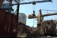 Ingenios y productores evalúan el nivel de daño de las plantaciones