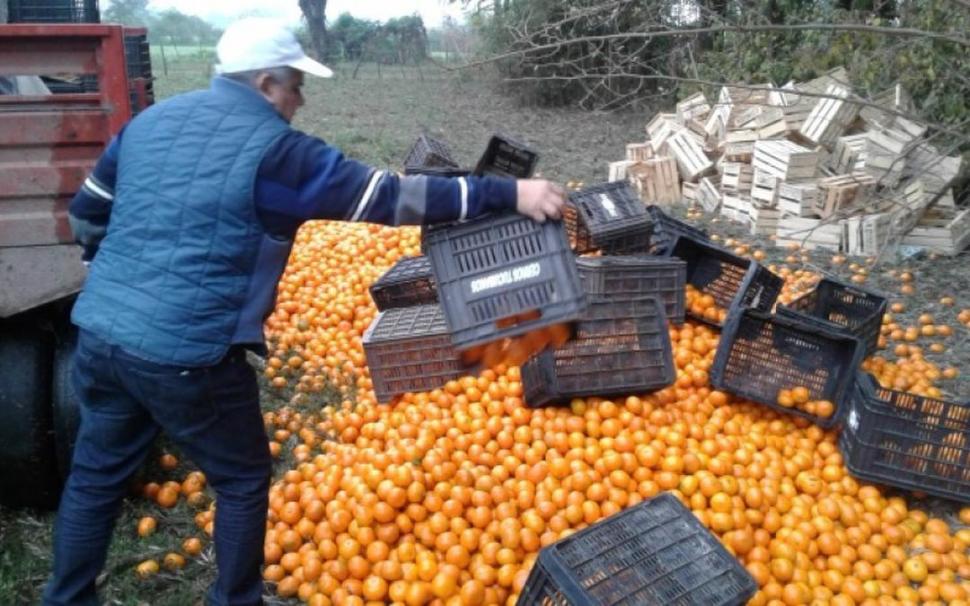 TUCUMÁN. Los inspectores decomisaron un cargamento ilegal de naranjas.  