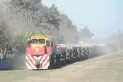 El PEN niega el cierre de ramales ferroviarios y promete mejorar el tren de carga en Tucumán