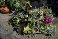 Decorar y respirar: dos ideas para teñir de verde cualquier espacio