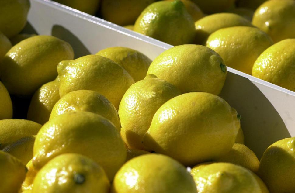 EEUU ya permite la exportación de limones