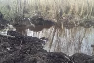 Así encontraron la avioneta: estaba en un sector pantanoso, en un cráter tapado por agua y vegetación