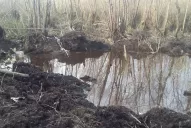 Hallaron restos humanos dentro de la avioneta caída en el delta del Paraná
