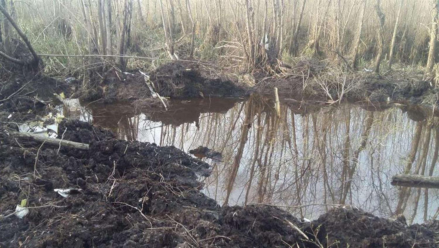 Hallaron restos humanos dentro de la avioneta caída en el delta del Paraná