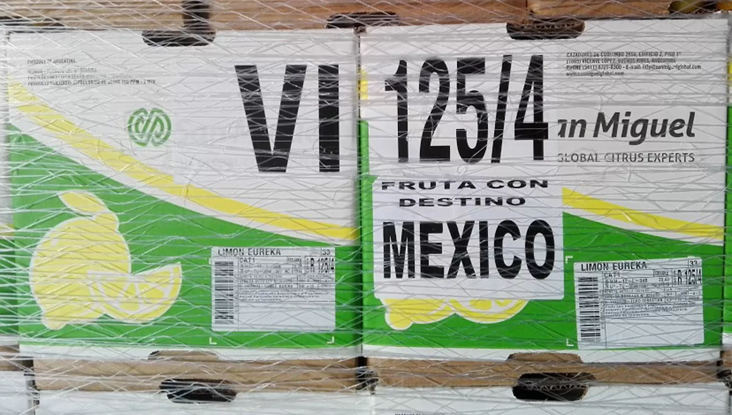 HISTÓRICO. Es la primera vez que los limones tucumano ingresarán al mercado mexicano. FOTO TOMADA DE AGROINDUSTRIA.GOB.AR
