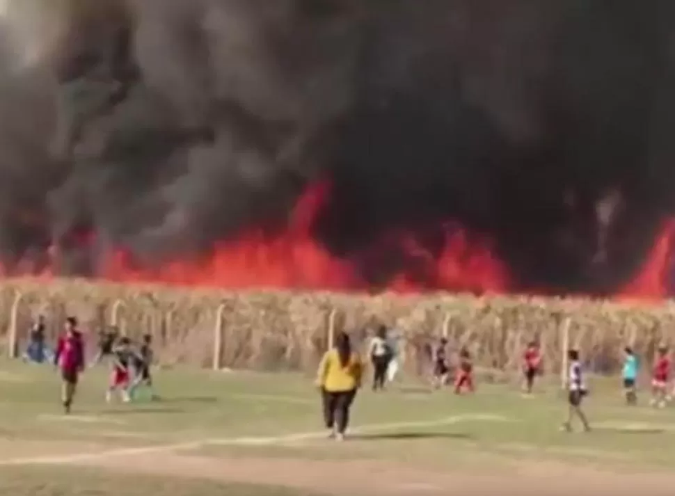 NO VA MÁS. En San Andrés, un partido de fútbol infantil debió suspenderse. CAPTURA DE VIDEO